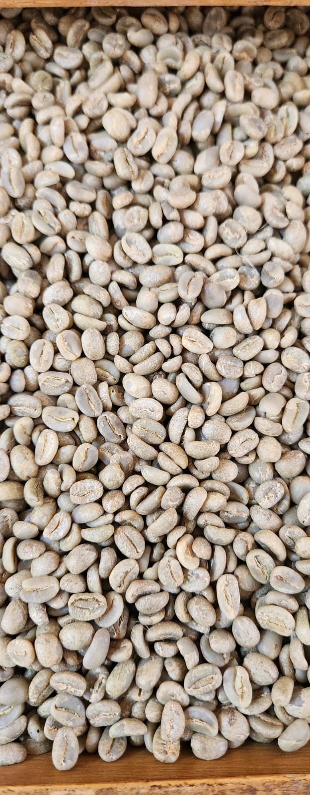Dark Roast Expertise